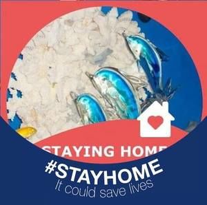 Meet your Posher, Mandy